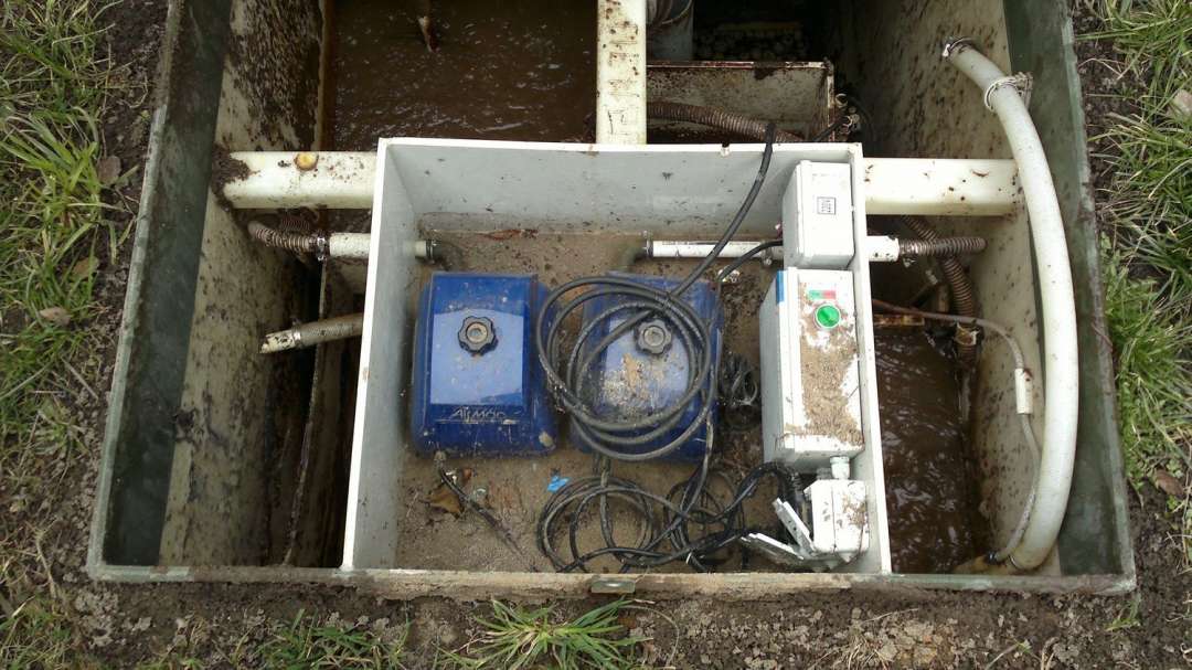 Чистка Топас